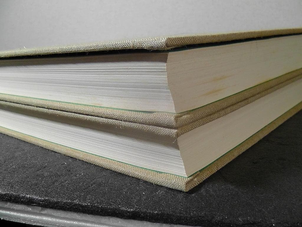 世界のアゲハチョウ 図版編 解説編 計２冊セット 五十嵐邁 ★1979年 初版