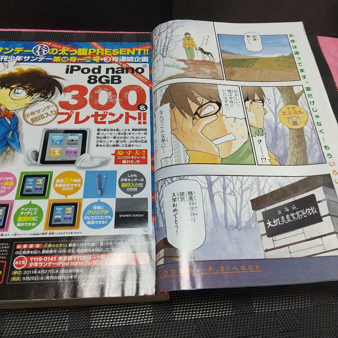 週刊少年サンデー 2011年19号※銀の匙 新連載 荒川弘※クリアファイル未開封