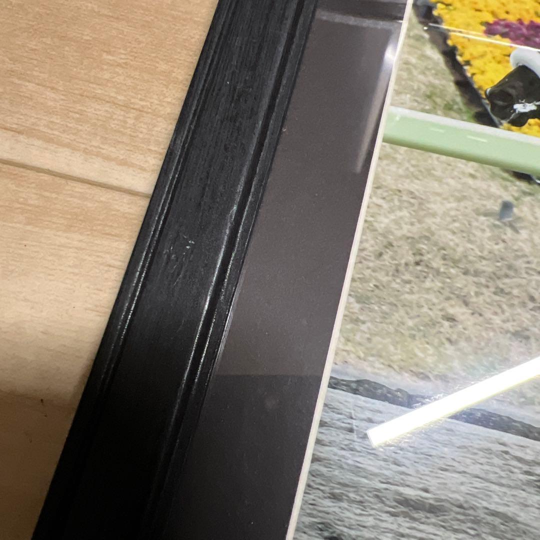 藤田菜七子騎手×サニーデイズ 額装写真パネル