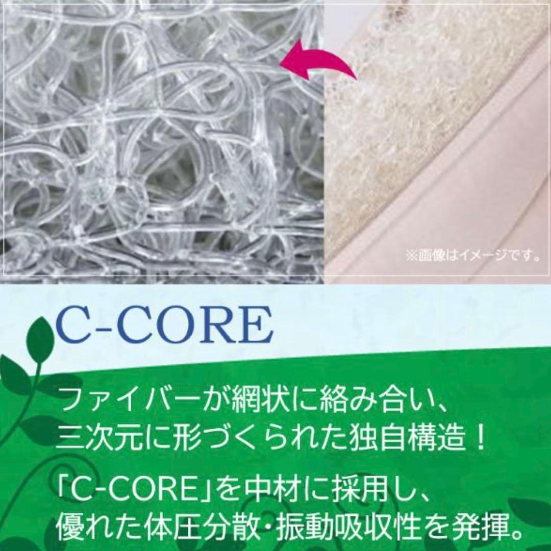 95,150円のお品　DOME3 LARGE エアバギー　プレミアムエディション