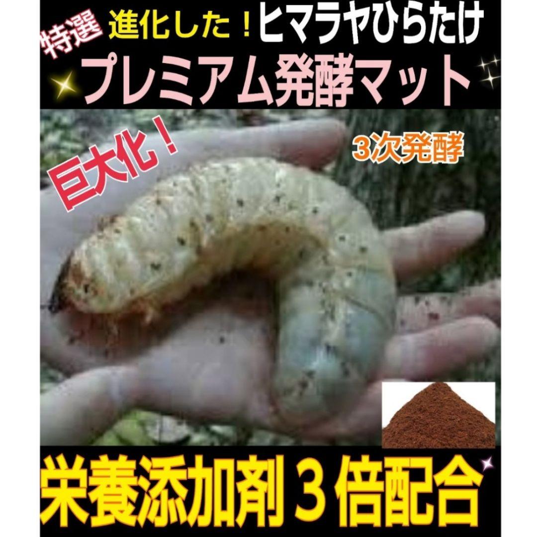 極上！プレミアム3次発酵ヘラクレスマット【80L】トレハロース・キトサン強化配合