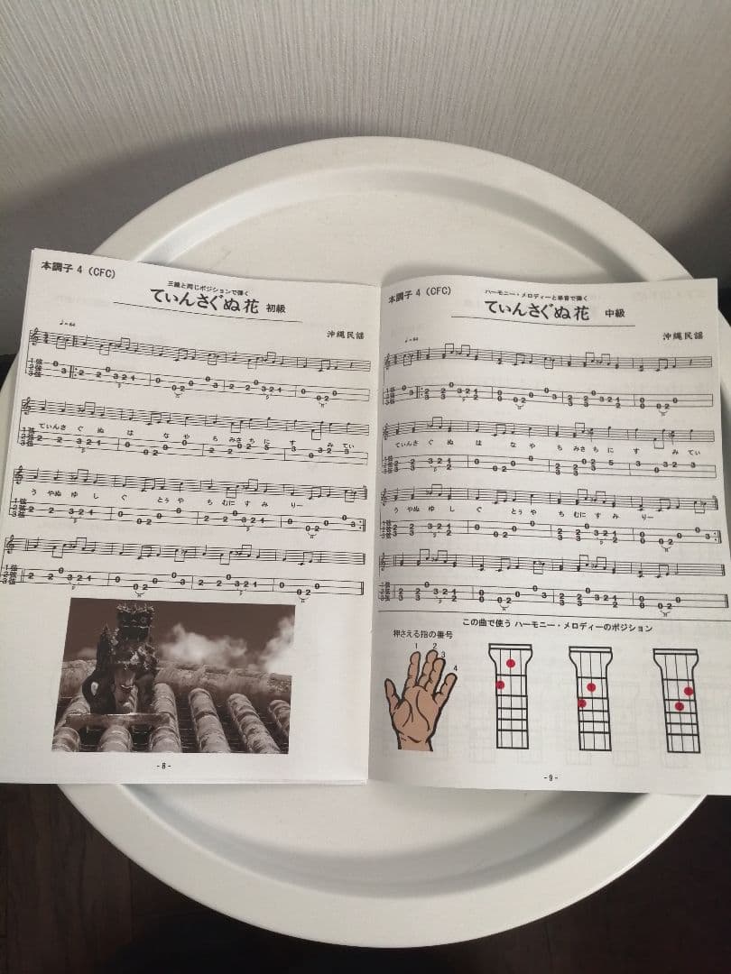 沖縄楽器 サンレレ