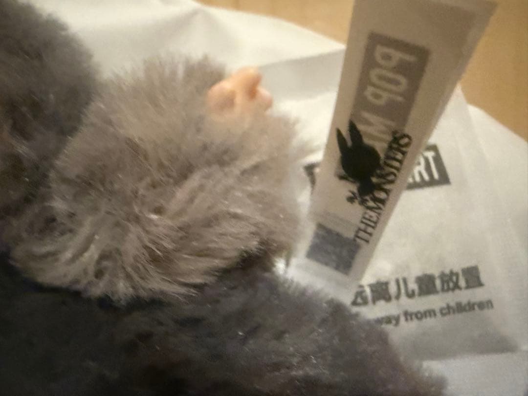 LABUBU Big into Energy ラブブ エナジー シークレット