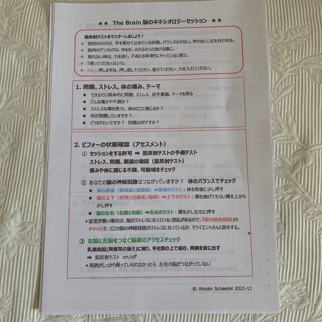 【i38】シェイデル敦子の「THE BRAIN-最先端の脳科学プログラム-」