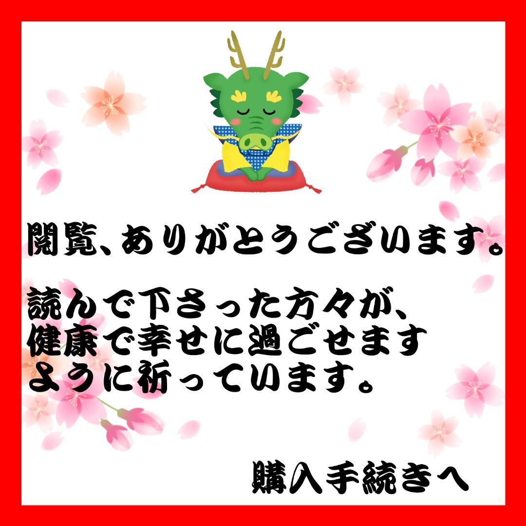 【フォロワー限定300円企画】任天堂 DS ゲーム4本セット