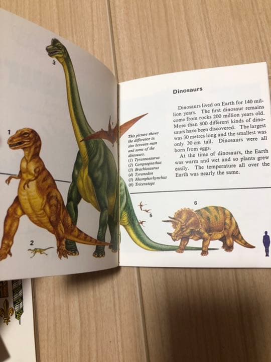 激レア品　昭和53年発行　ミニライブラリー