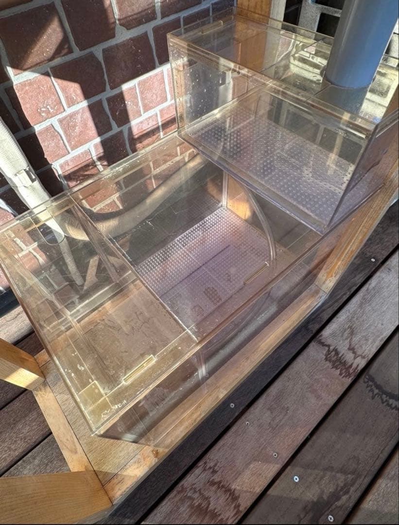 るいオーバーフロー水槽