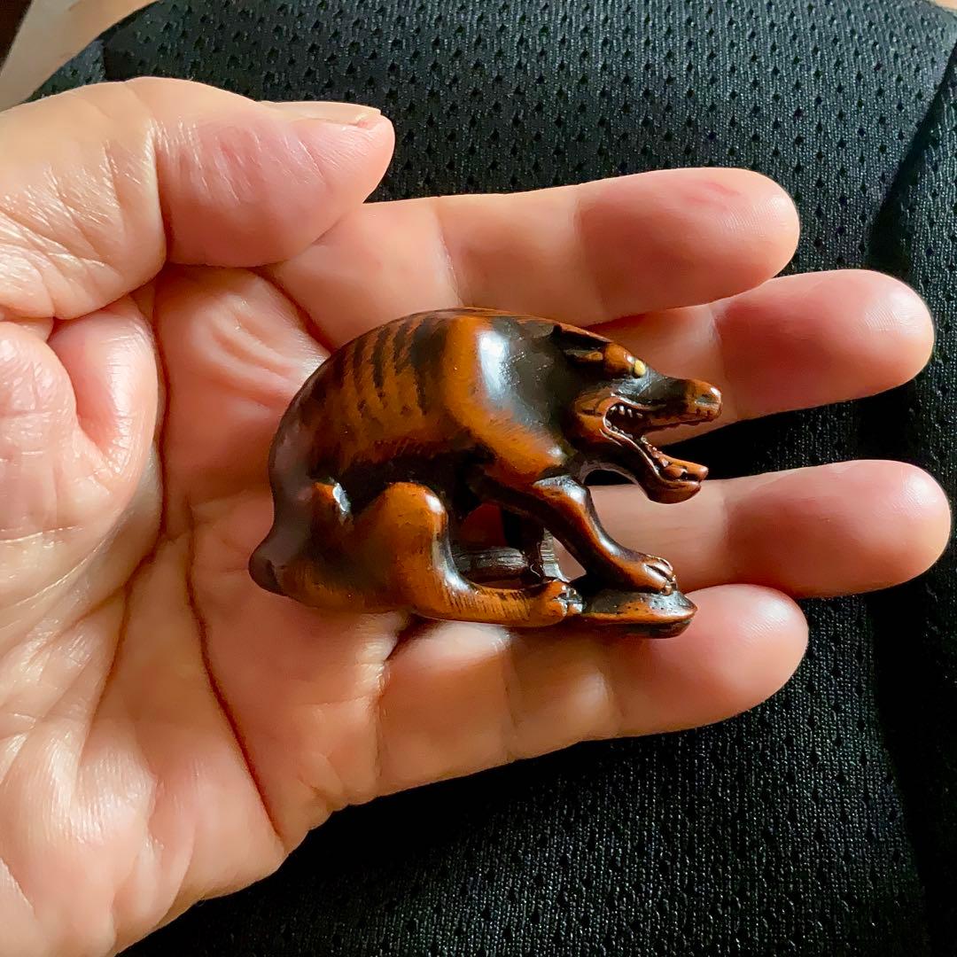 木彫狼亀根付　江戸時代　彫銘: 正友