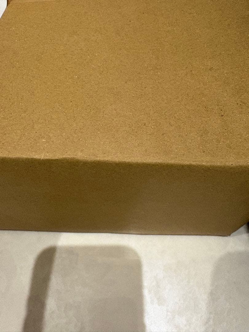 candytune 100冊限定ナンバリング付き　桐原美月 即日LIVE写真集