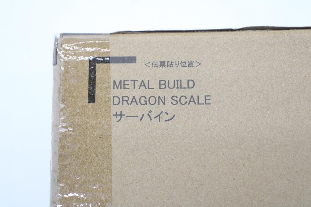 LBUILDDRAGONSCALE サーバイン 29-EY0818-16