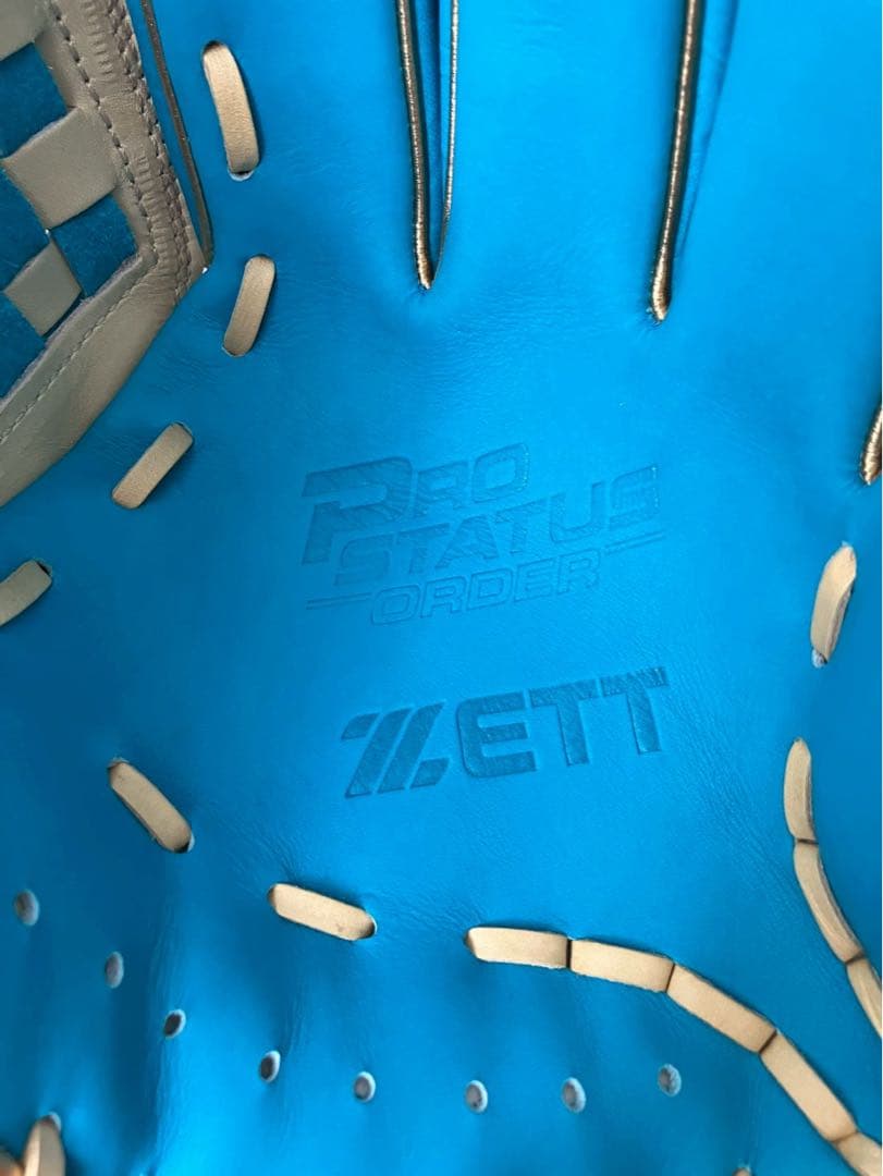 新品未使用　プロステイタス　軟式　グローブ　父の日限定　源田