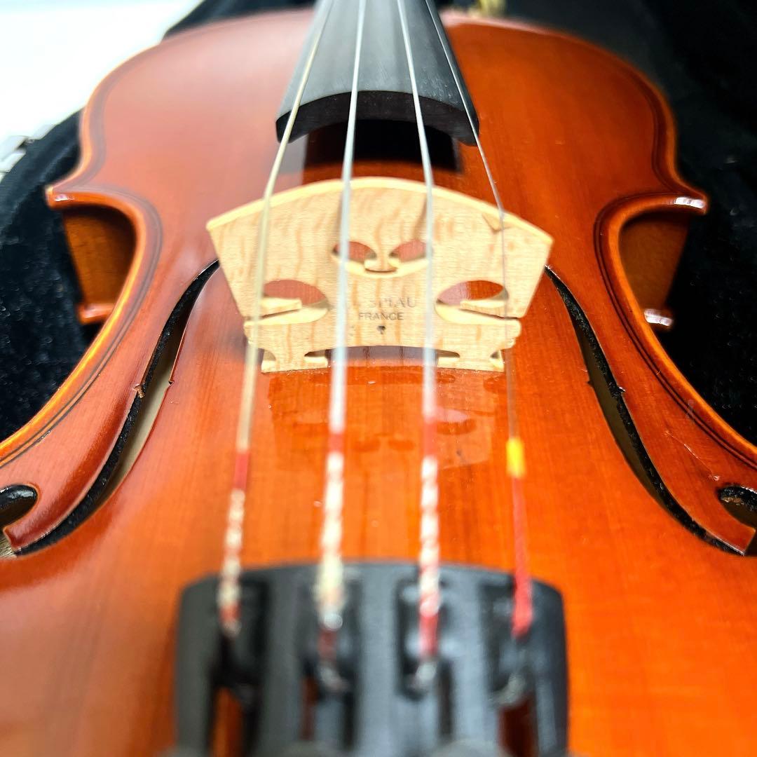 【美品】Andreas Eastman VL80 1/2 イーストマン