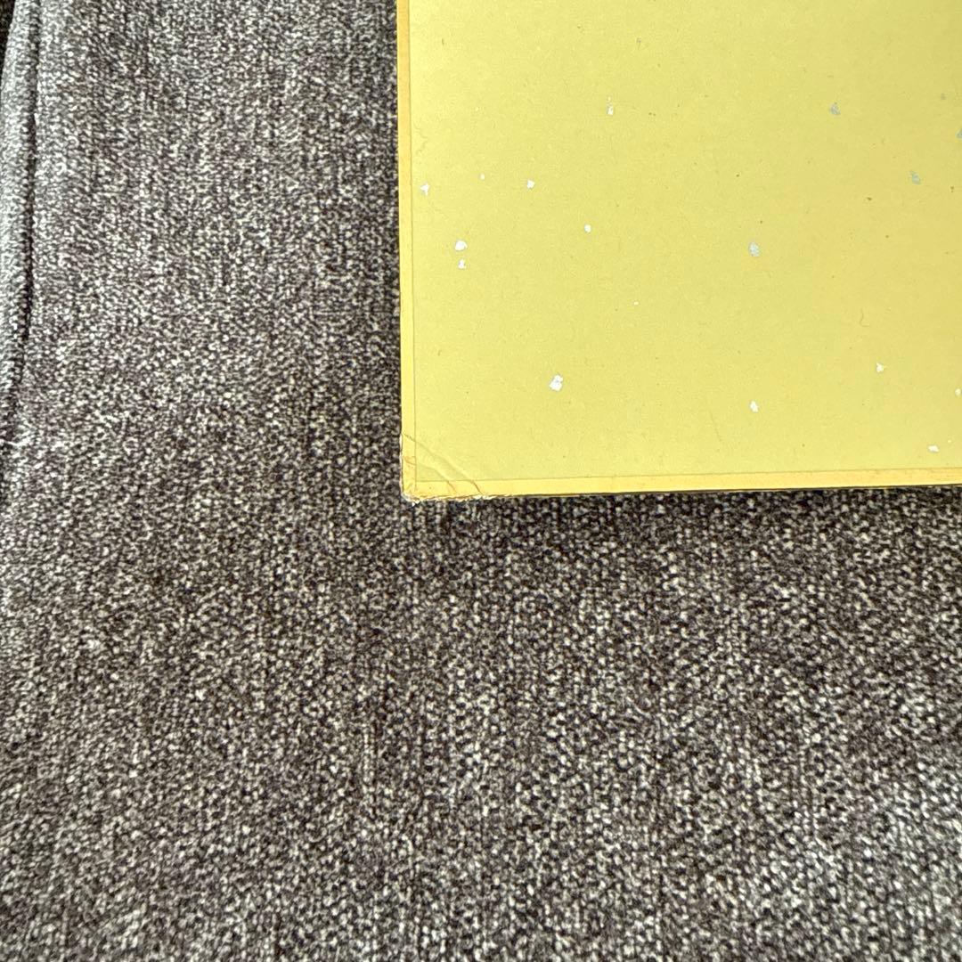 朝倉未来 サイン