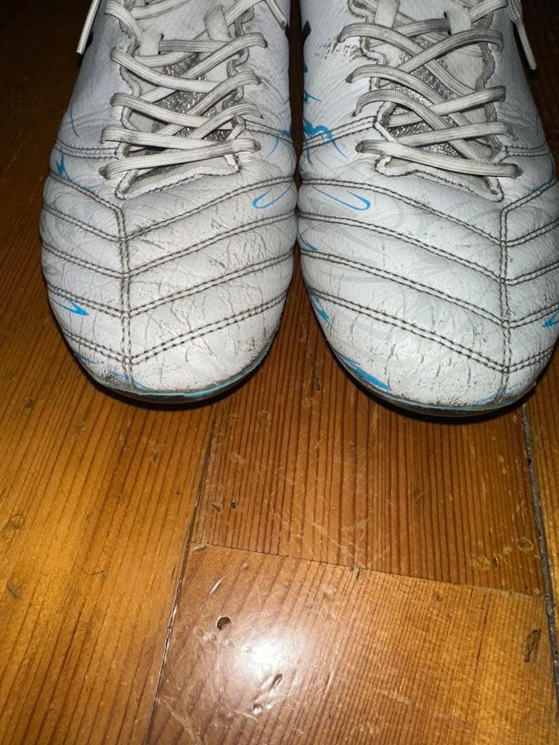 ッカースパイク DS LIGHT X-FLY Pro