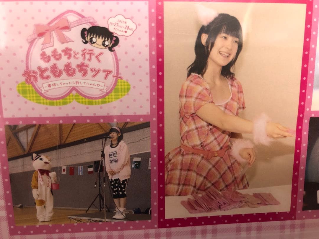 ももちと行く おとももちツアー 寝坊しちゃったら許してにゃん DVD 嗣永桃子