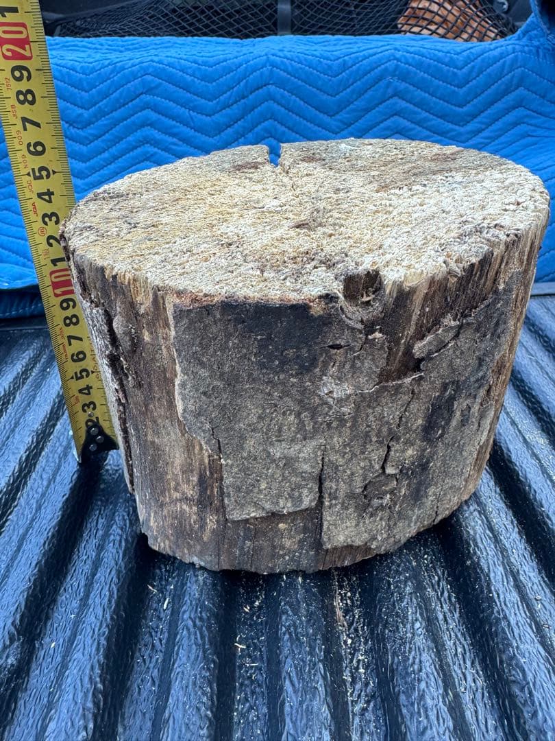 ベトナム材　VN材　13cm×20cm 産卵木