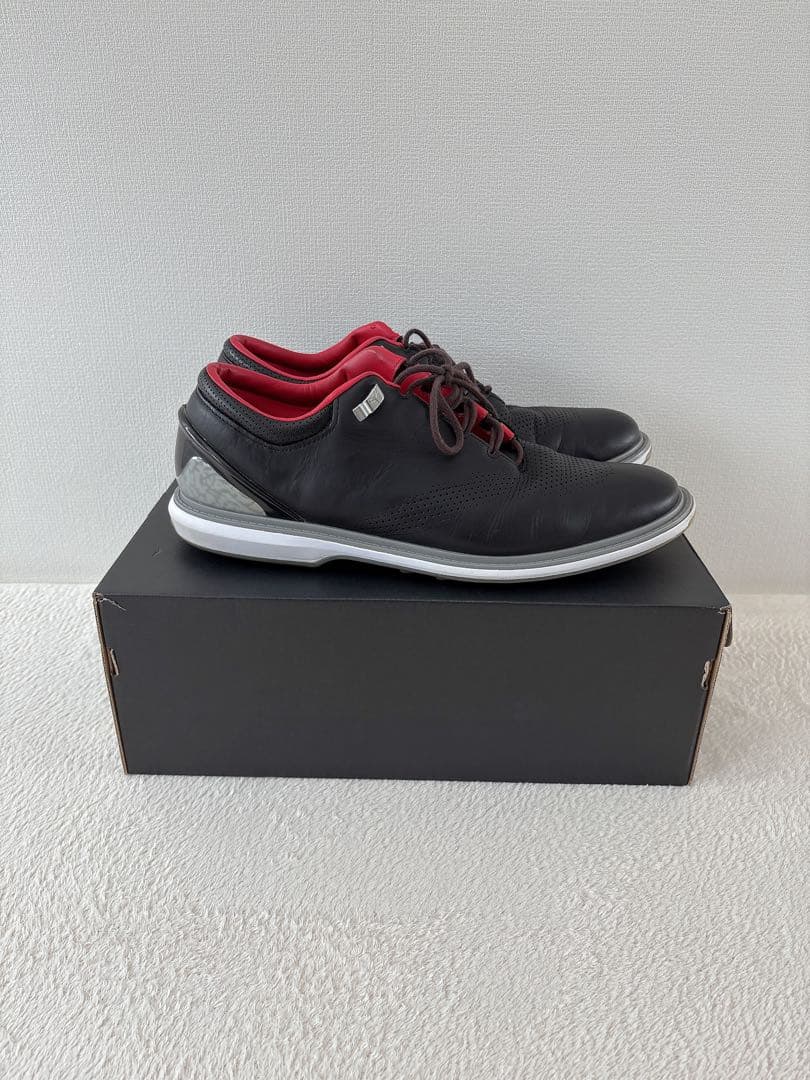 【送料無料 美品♡】NIKE ゴルフシューズ ジョーダンADG4 30センチ