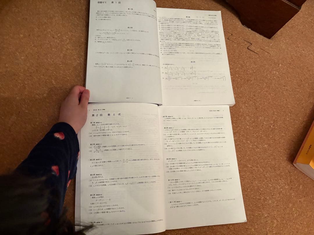 2024鉄緑会数学一式（本当に全部あります）