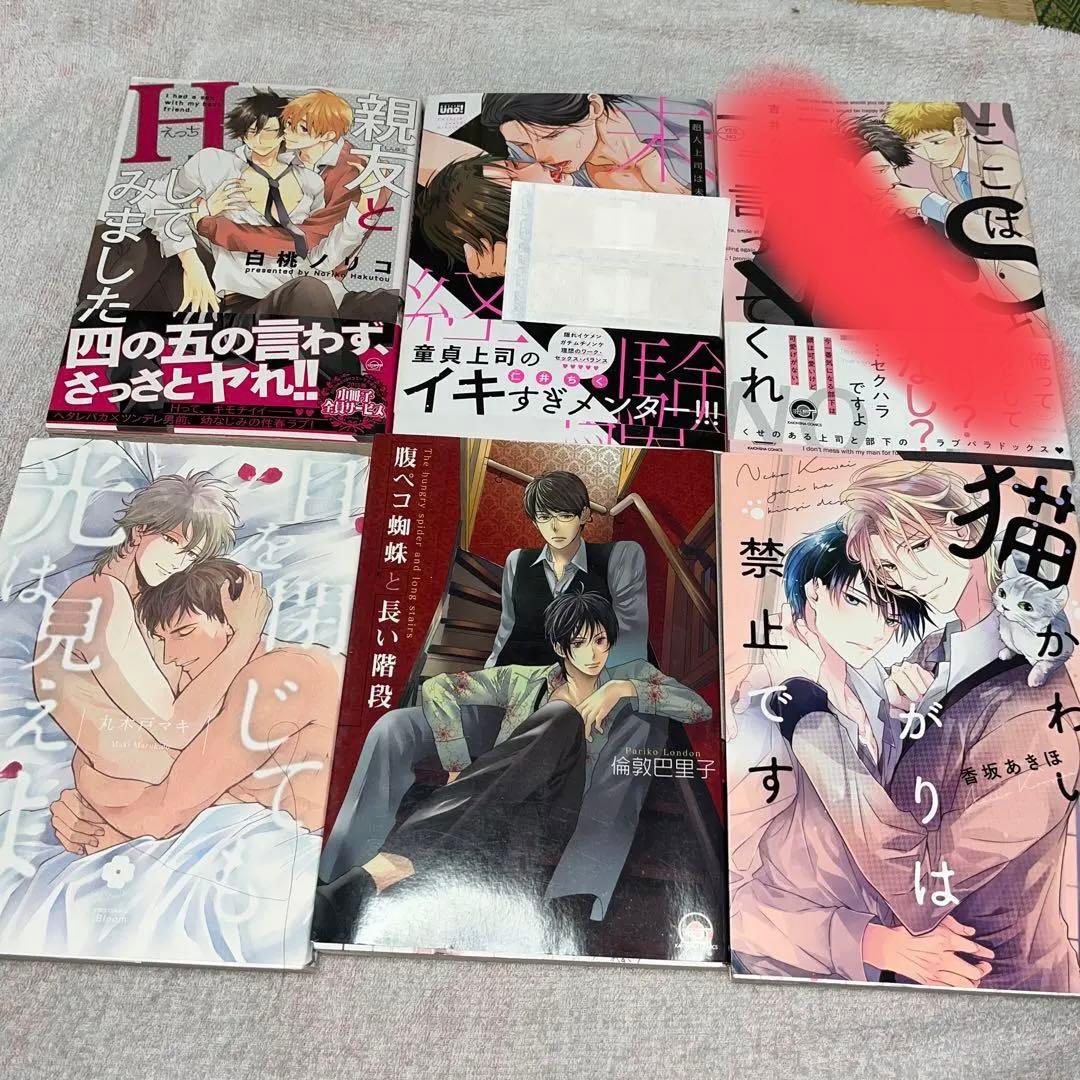 漫画　小説　追加　BL ボーイズラブ　2冊セットからおまとめ購入OK