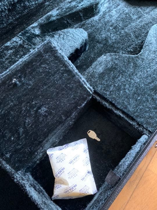 ESP STARの専用ハードケース