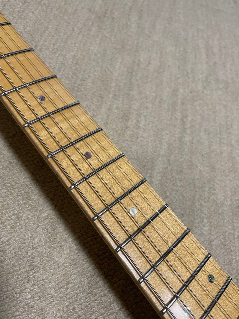 ESP snapper CTM プロ仕様