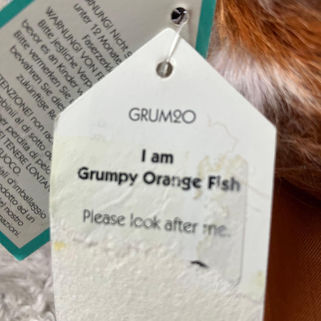  気難しいオレンジの魚