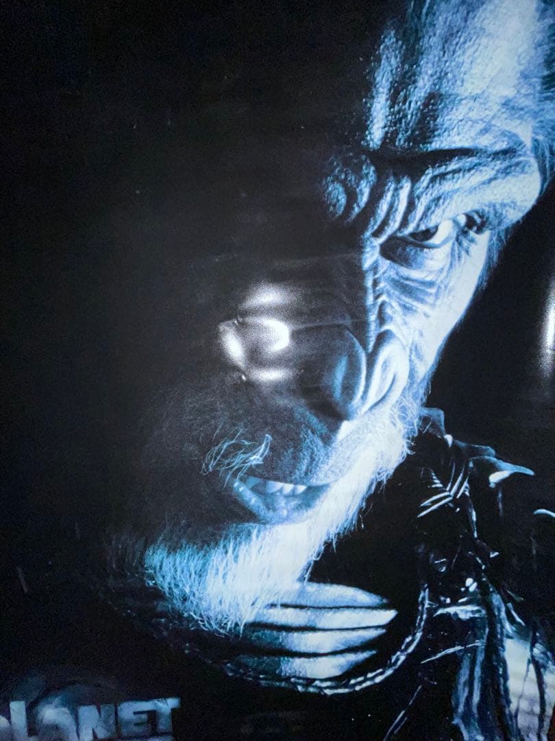 PLANET OF THE APES バナー