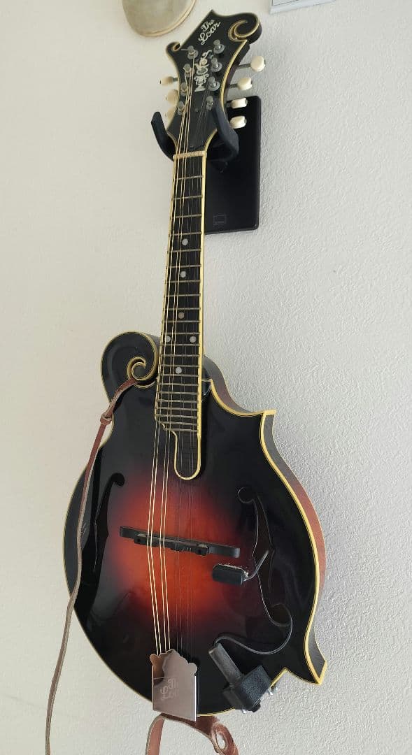 The Loar フラットマンドリン