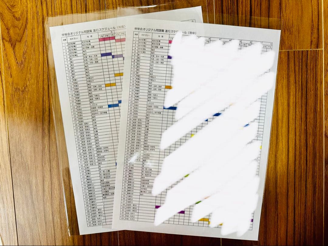 伸芽会　オリジナル問題集　新版改訂版　全63冊　進行表付き(年中用・年長用)