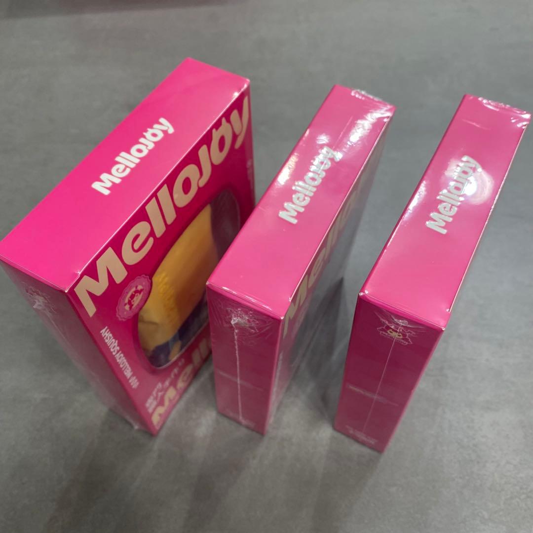 Mellojoy箱ごと発送　バター　パルミエ　チョコクリーム　３個セット　未開封