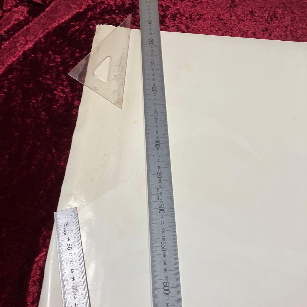 ピンクレディー　シャワラン ビューティ シャンプー & リンス ポスター