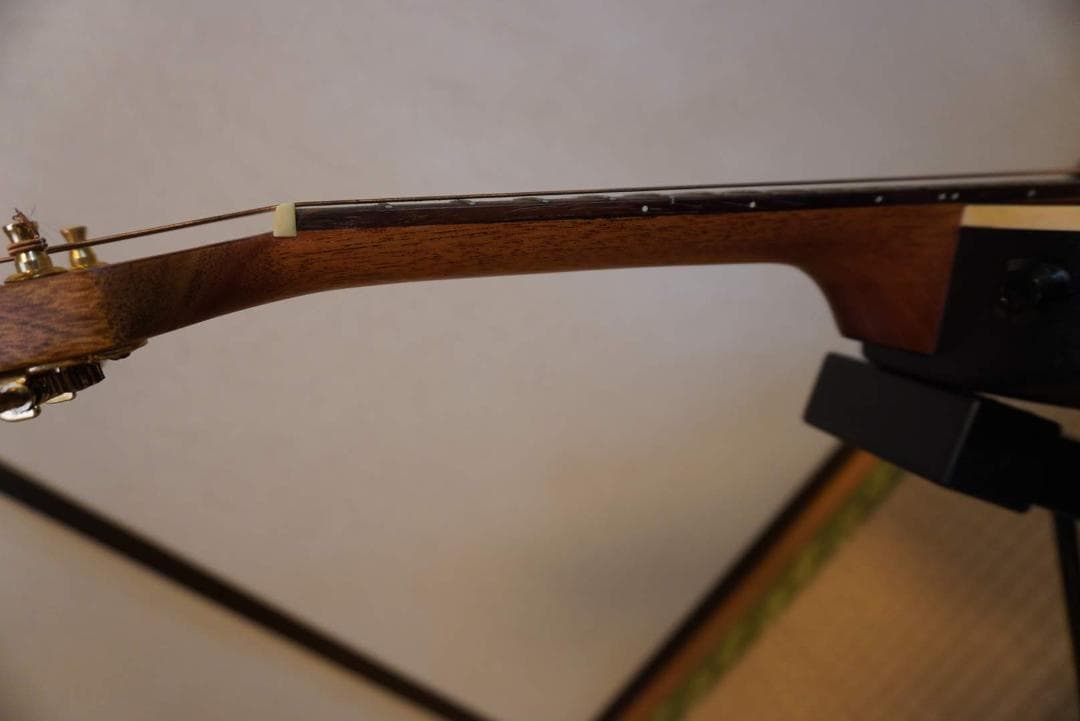 OVATION　Celebrity Mandolin MCS-148