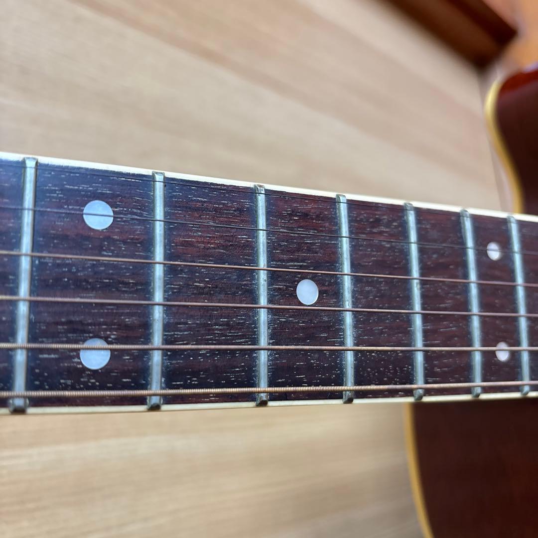 エレクトリック・アコースティックギター　Pro Martin EA500W VS