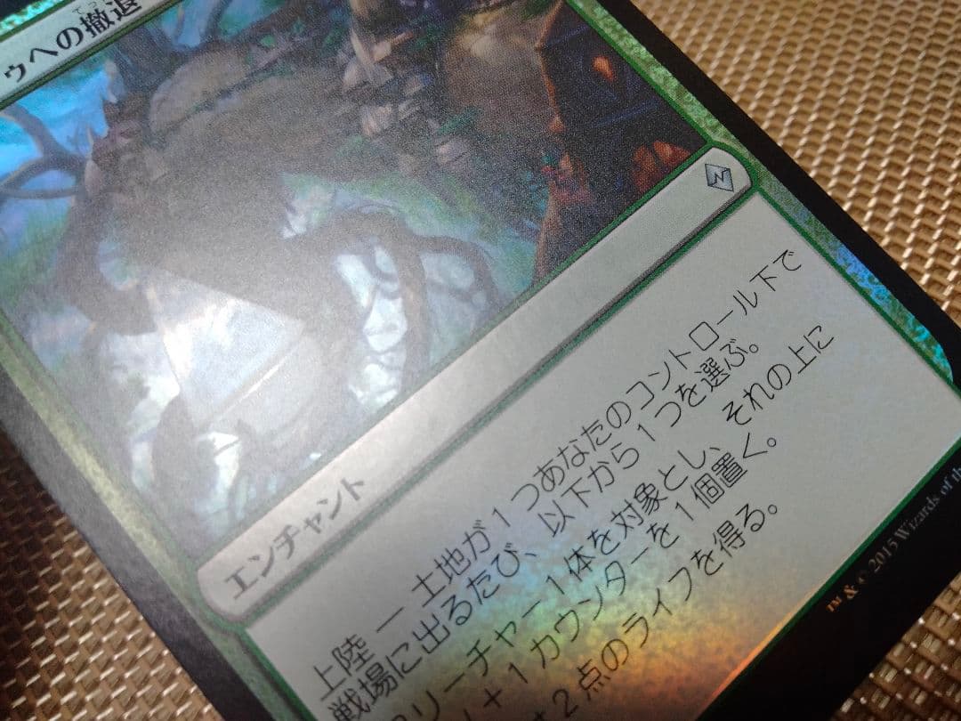 ご確認用】戦乱のゼンディカー foil カザンドゥへの撤退 日本語 1枚　MTG