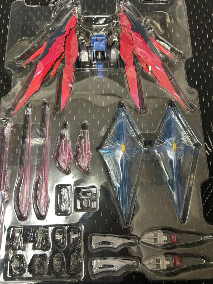 デスティニーガンダム [L BUILD FESTIVAL 2024]