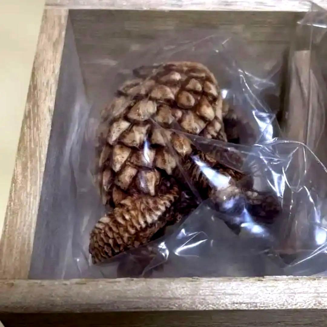 怪獣根付「ガメラ」