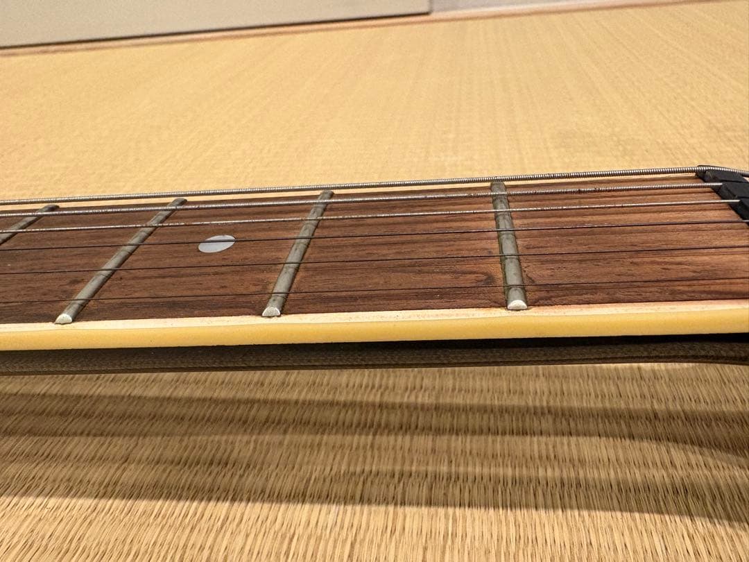 最終値下げです　FERNANDES TEJ-55G リミテッドエディション