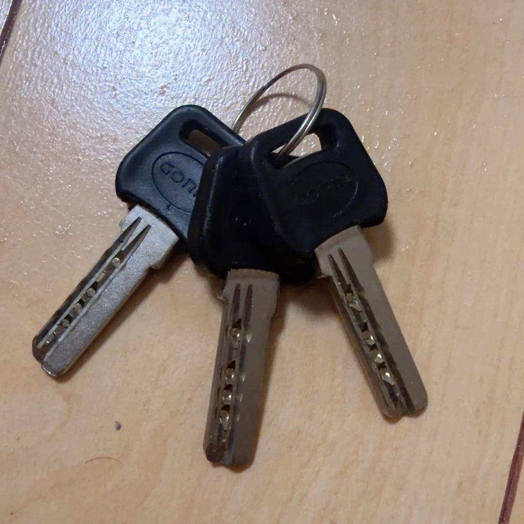 PELTECH 折りたたみ電動アシスト自転車 TDN-206L 12AH