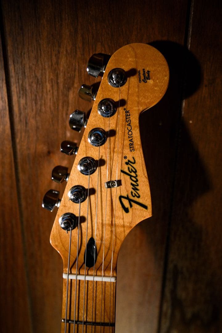 ギター Fender Standard Stratocaster Black