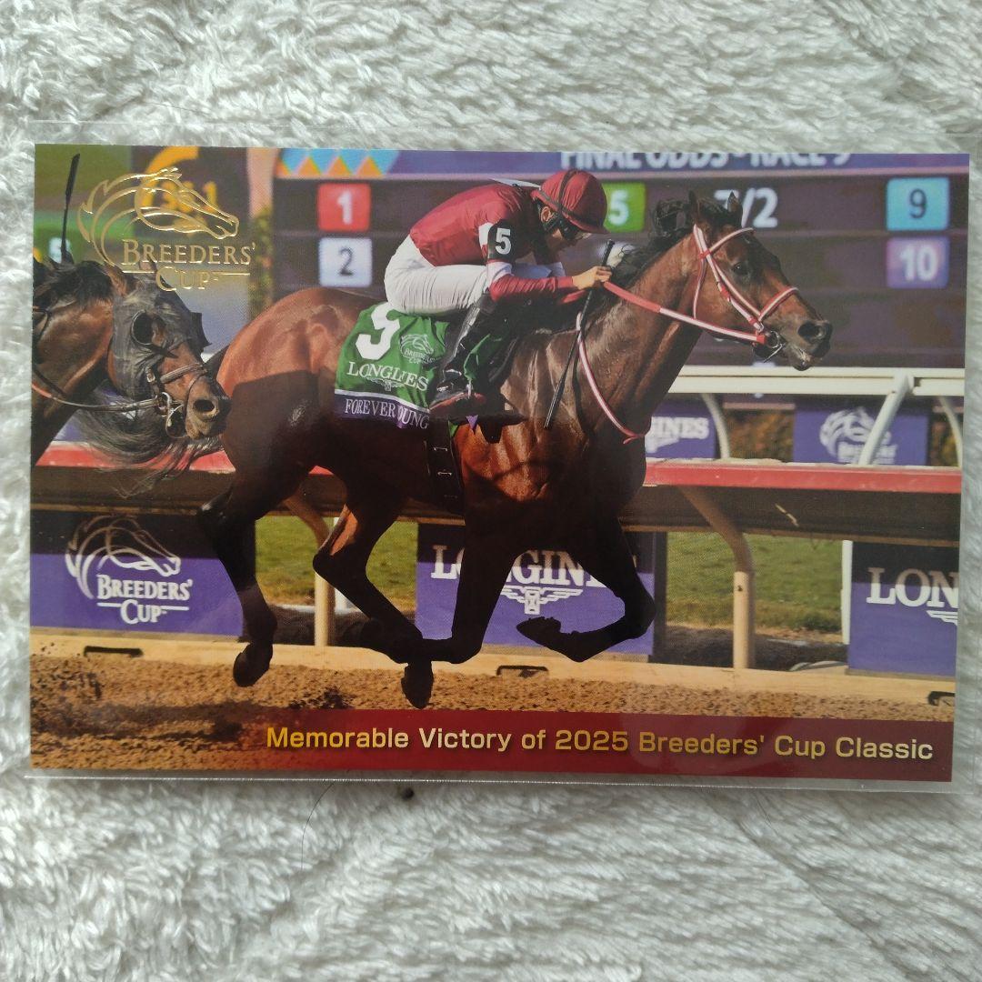 JRAフォーエバーヤング　キャップ＆ポストカードセット　未使用