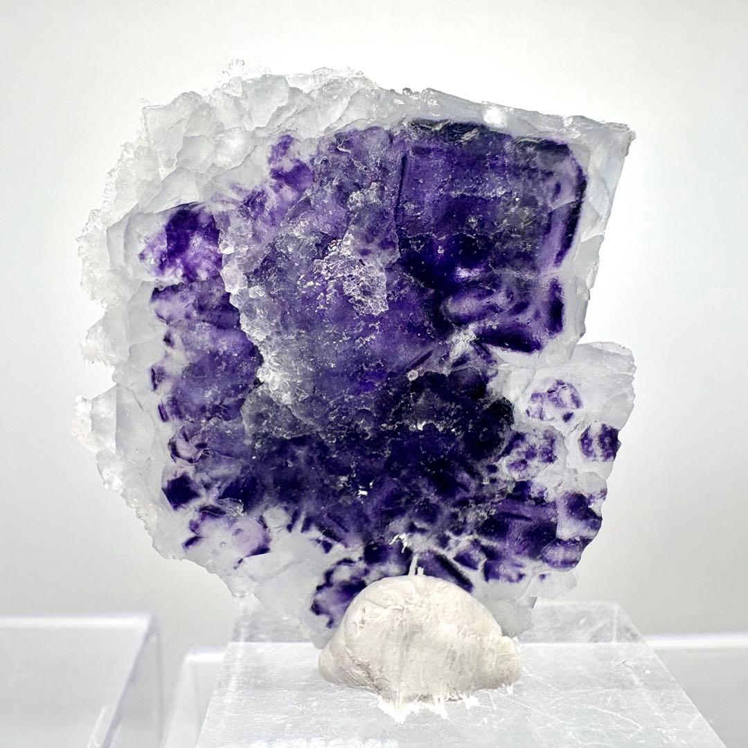 560 中国湖南省 Manaoshan Mine産 フローライト