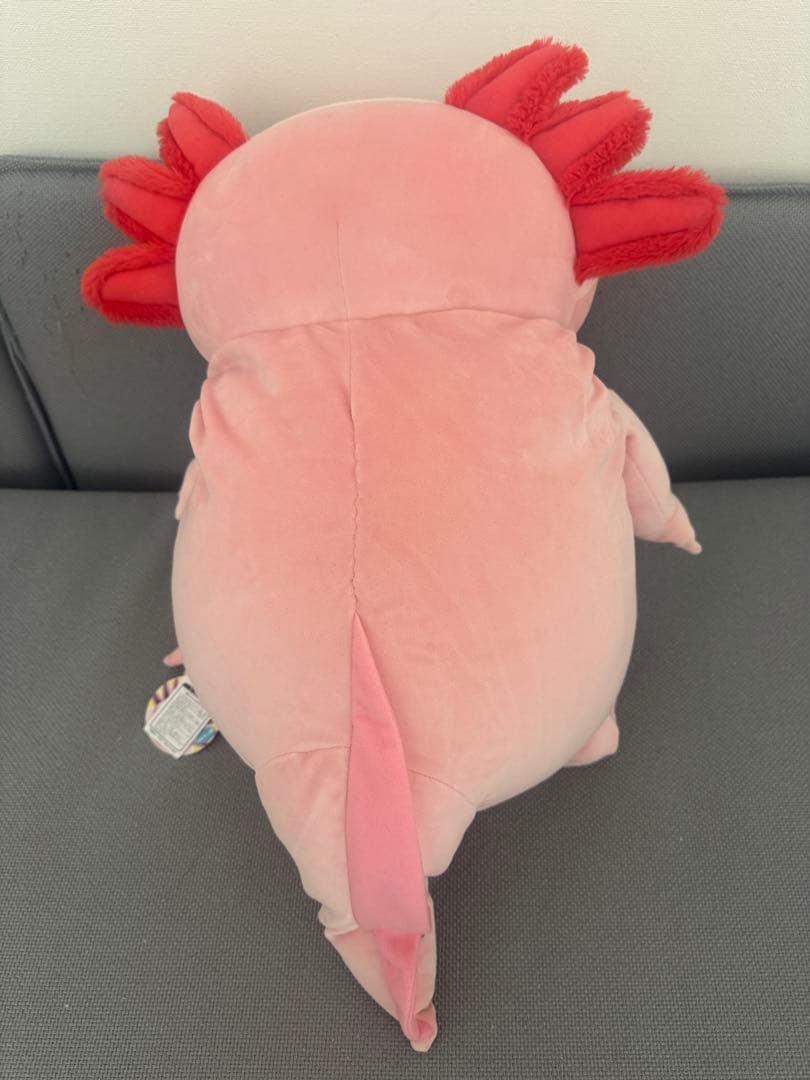 もちうぱ ピンク(XL) もちシリーズ