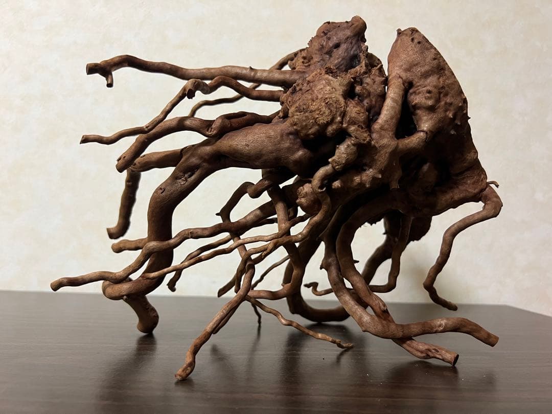 10936 ブランチウッド　流木　アクアリウム　沈水確認済