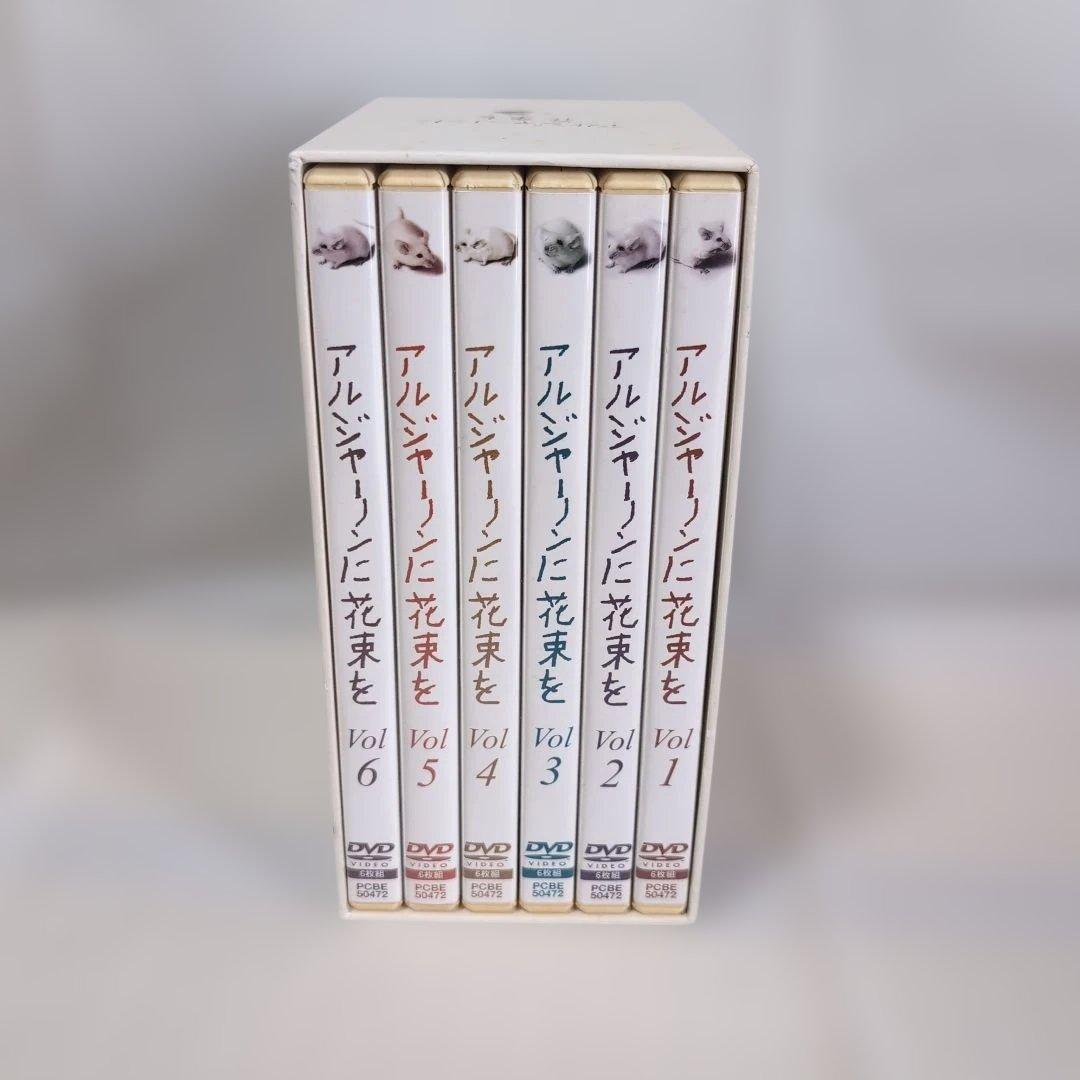 アルジャーノンに花束を DVD 全6巻