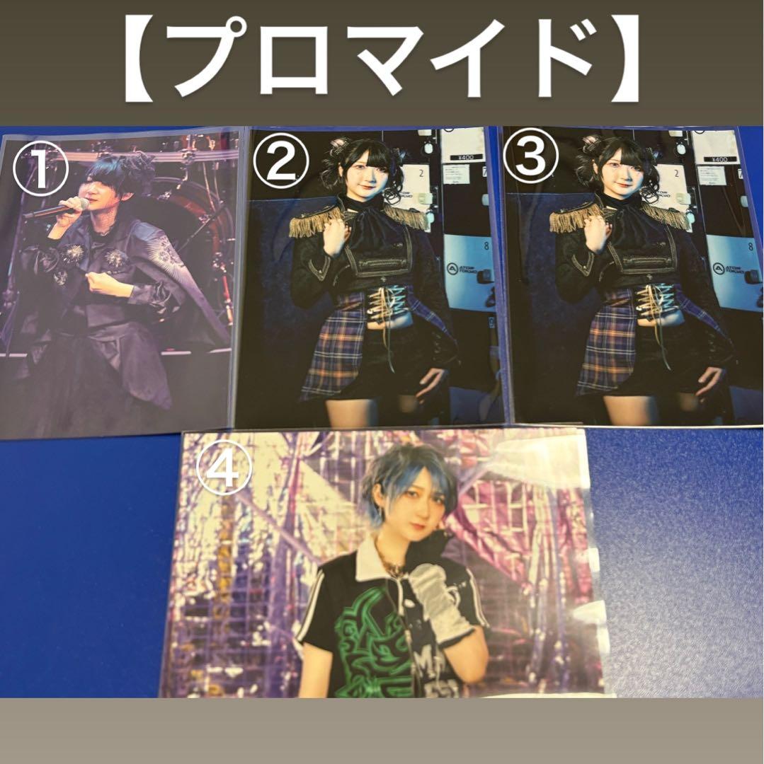 ステミレイツ【缶バッジ】【チェキ】【ブロマイド】