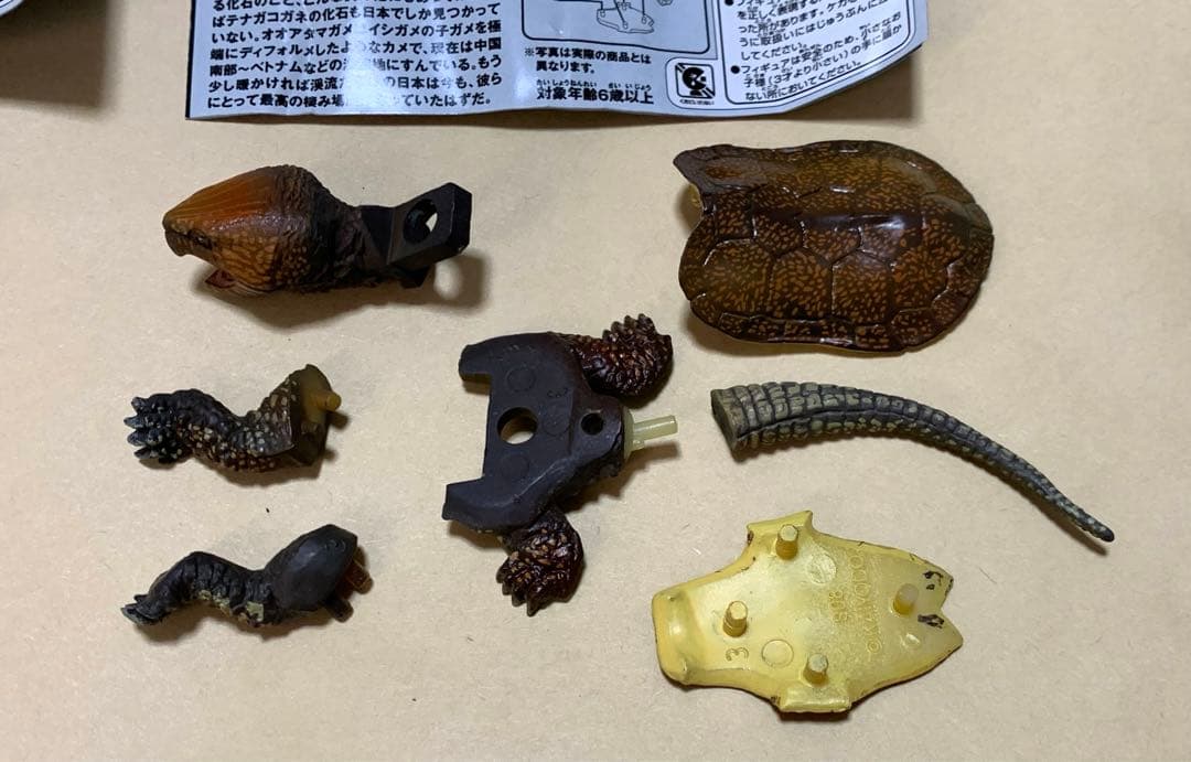 海洋堂　チョコQ シークレット　オオアタマガメ　A・B 2種セット