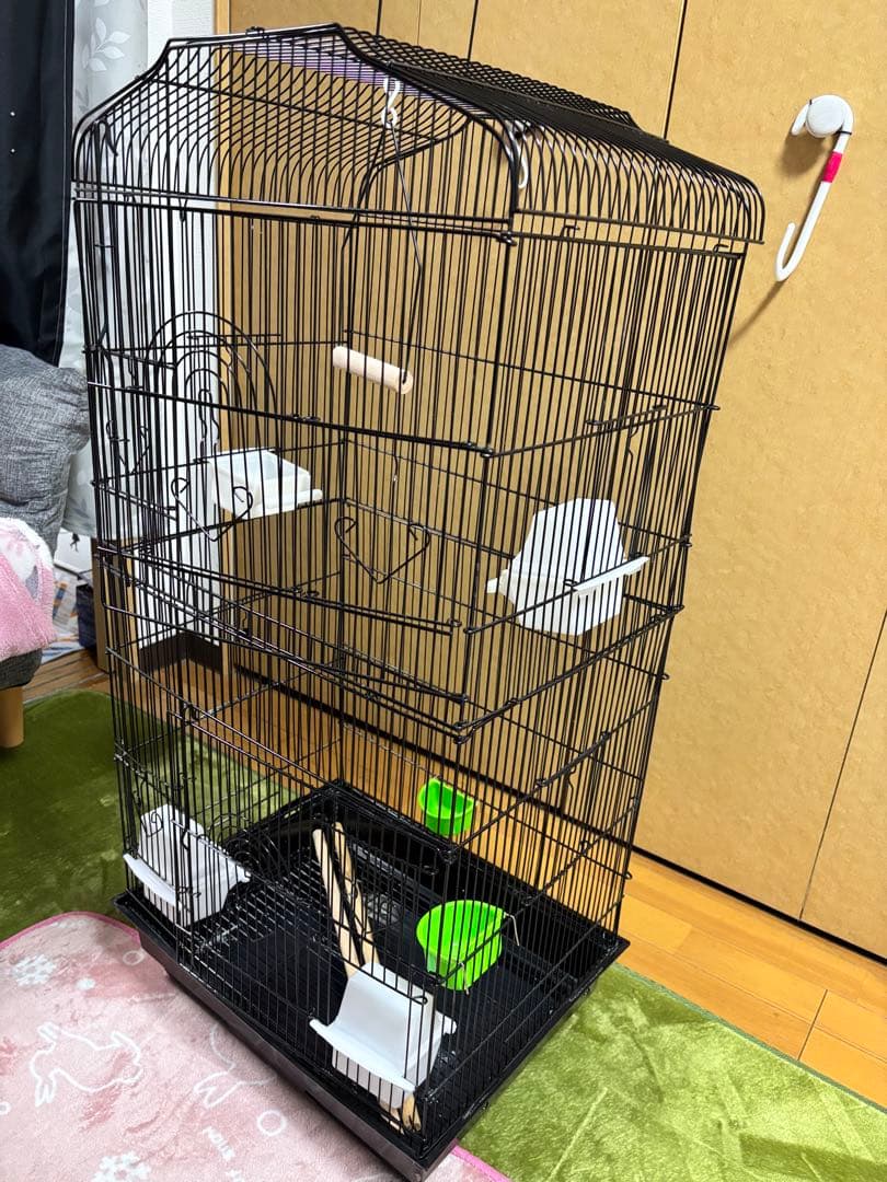 中型黒鳥かご、止まり木・餌入れ付き