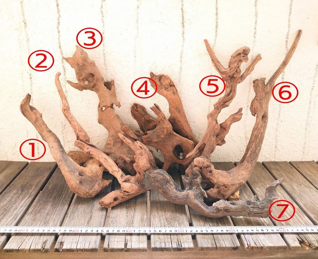 アクアリウム用品　レイアウト 良型 流木 Ｌサイズ　７本セット