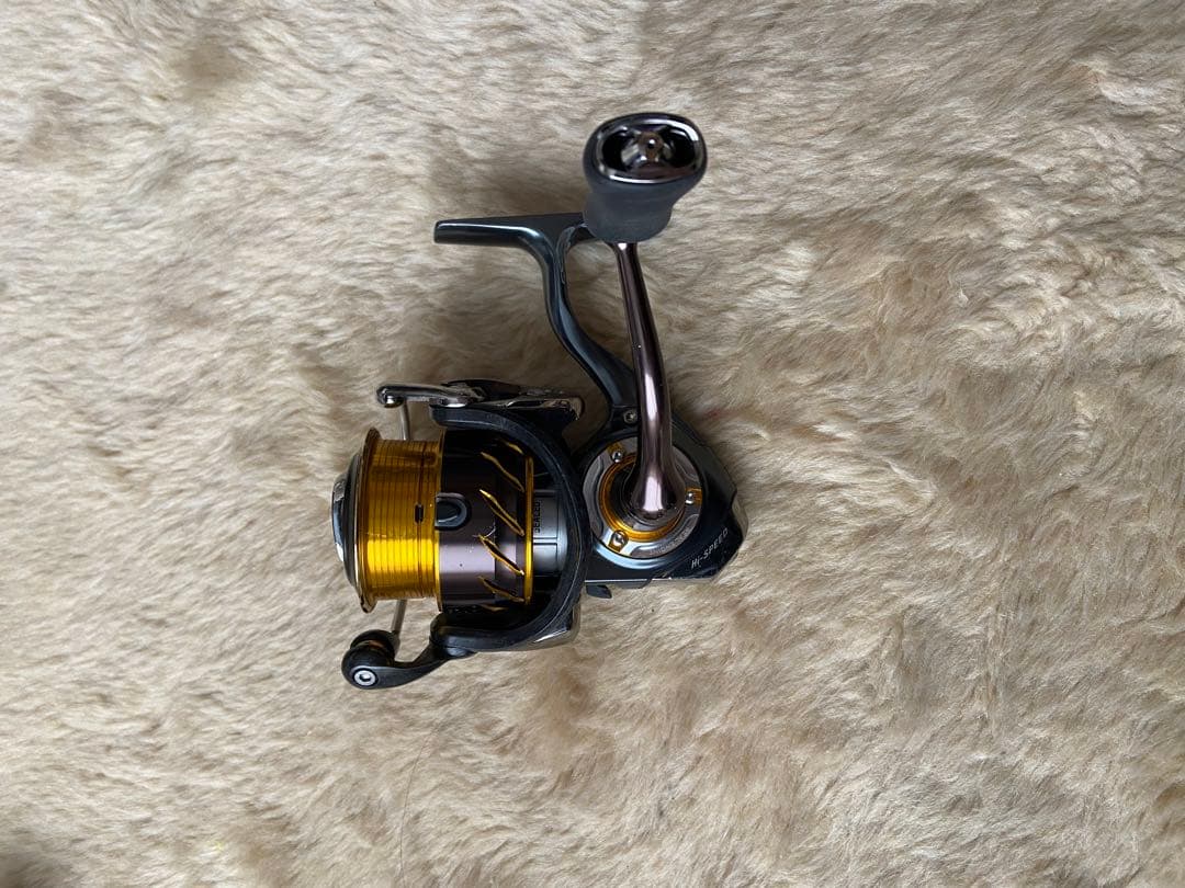 ダイワ 13セルテート2506H