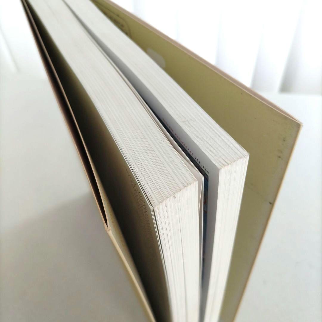 アート・デザイン・音楽 Vitamin P:NEW PERSPECTIVES IN PAINTING